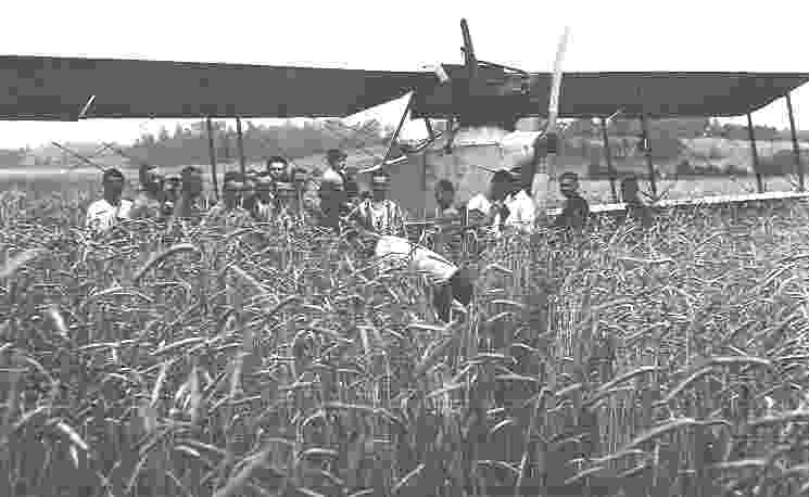 Albatros C.III